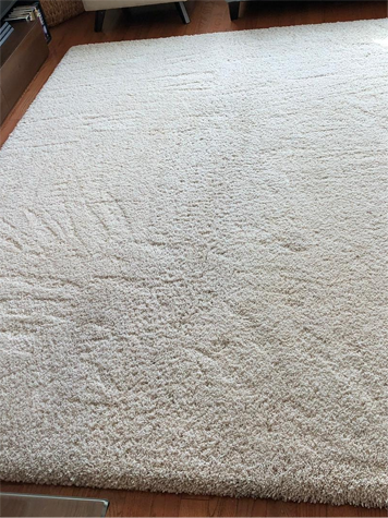 Carpets Cleaning Services Excellent carpet cleaning NYC services with the best organic stain removal solution.