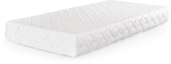 Mattress Cleaning Services Order the best professional mattress cleaning services in New York for efficient stains removal with organic solutions.