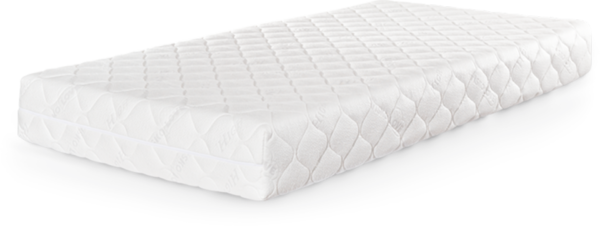 Mattress Cleaning Services Order the best professional mattress cleaning services in New York for efficient stains removal with organic solutions.